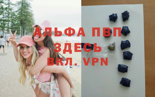 ПСИЛОЦИБИНОВЫЕ ГРИБЫ Волоколамск